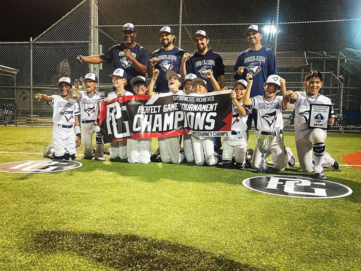 Katy TX Blue Jays Baseball